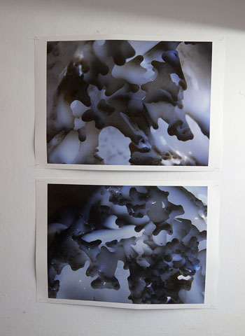 Surface Complexity as Living Space by Ingrid Jensen