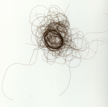 Hair lines  by Manya Doñaque